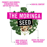 The Curl Company Moringa Styling Oil - The Curl Company